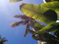 IMG_20150404_115619b
