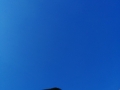 IMG_20150414_153225b.jpg