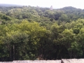 IMG_20141124_100542