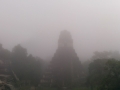 PANO_20141124_082809
