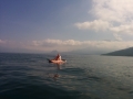 IMG_20141222_122135