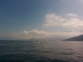IMG_20141222_123124