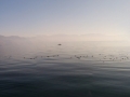 PANO_20141216_081716
