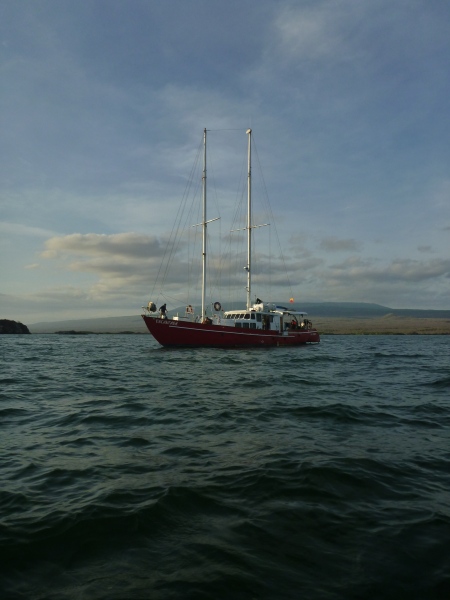 P1100274