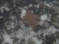 P1100152