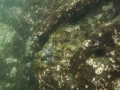 P1100332